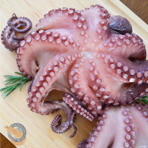 Pulpo Baby