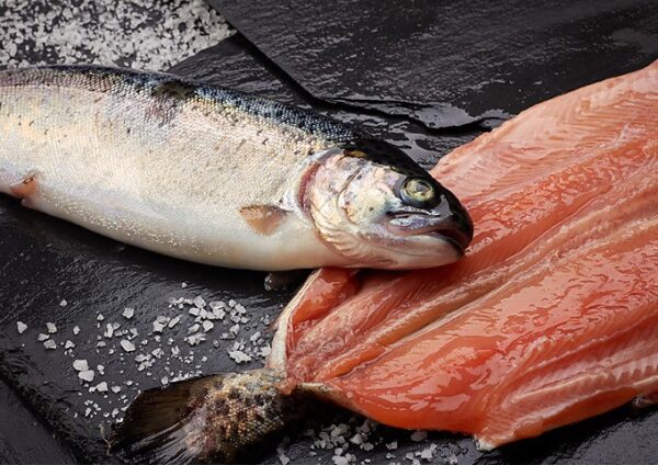 Trucha Arcoiris Salmonada