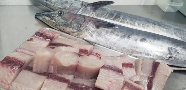 Filete de Peto